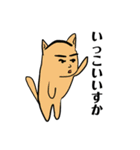 ねこは、語る（個別スタンプ：24）