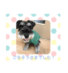 ワンス3（個別スタンプ：2）