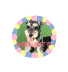 ワンス3（個別スタンプ：3）