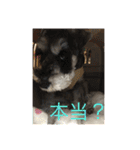 ワンス3（個別スタンプ：5）