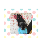 ワンス3（個別スタンプ：6）
