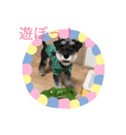 ワンス3（個別スタンプ：7）