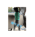 ワンス3（個別スタンプ：9）