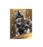 ワンス3（個別スタンプ：10）