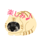 ワンス3（個別スタンプ：12）