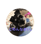 ワンス3（個別スタンプ：13）