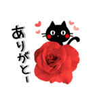 黒ねこと薔薇の花♥毎日使える基本セット（個別スタンプ：23）
