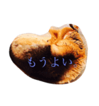 じょん太（個別スタンプ：5）