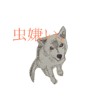 じょん太（個別スタンプ：14）