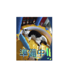 KORO①（個別スタンプ：8）