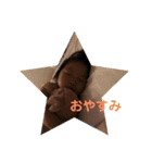 ゆいぴーちゃん（個別スタンプ：2）
