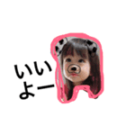 MRH三姉妹ちゃんず♡（個別スタンプ：12）