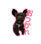 ラムボブ（個別スタンプ：4）
