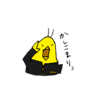 セイセイインコ（個別スタンプ：12）