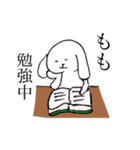 もも のためのうさぎ（個別スタンプ：37）