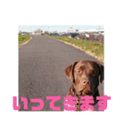 やまとの毎日 2（個別スタンプ：10）