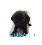 みかんのいる生活（個別スタンプ：5）