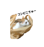 まさおくんのハッピーライフ（個別スタンプ：16）
