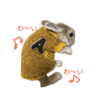うさぎのコロちゃん 2（個別スタンプ：4）