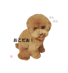 トイ・プードル☆fuku☆（個別スタンプ：8）