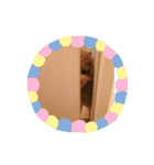 トイ・プードル☆fuku☆（個別スタンプ：24）