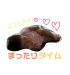 かなですまいる（個別スタンプ：28）