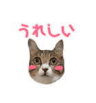 ねこのよいて（個別スタンプ：8）