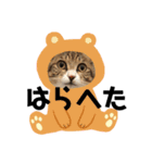 ねこのよいて（個別スタンプ：12）