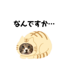 ねこのよいて（個別スタンプ：13）