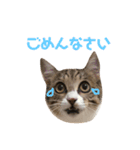 ねこのよいて（個別スタンプ：14）