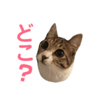 ねこのよいて（個別スタンプ：15）