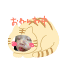 ゆいとまる〜（個別スタンプ：1）
