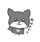黒柴 キハチ（個別スタンプ：1）