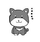黒柴 キハチ（個別スタンプ：5）