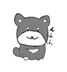 黒柴 キハチ（個別スタンプ：7）