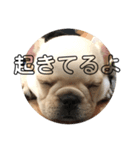 フレブルボス（個別スタンプ：3）