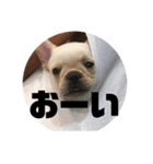 フレブルボス（個別スタンプ：8）