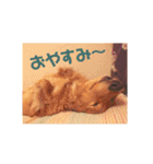 デカダックス優飛（個別スタンプ：2）