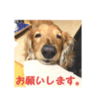 デカダックス優飛（個別スタンプ：4）