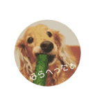 デカダックス優飛（個別スタンプ：7）