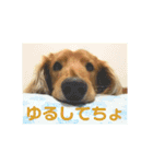 デカダックス優飛（個別スタンプ：9）