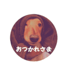 デカダックス優飛（個別スタンプ：13）