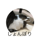 蒜山（個別スタンプ：30）