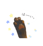 ゆかいな7ひきのねこたち（個別スタンプ：2）