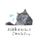 ゆかいな7ひきのねこたち（個別スタンプ：18）