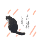 ゆかいな7ひきのねこたち（個別スタンプ：20）
