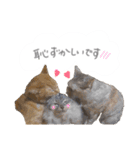 ゆかいな7ひきのねこたち（個別スタンプ：26）