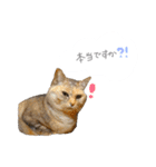 ゆかいな7ひきのねこたち（個別スタンプ：29）