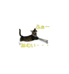 犬(まさむねときら)と猫(こまちとまひる)（個別スタンプ：8）