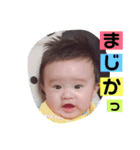 春空くんスタンプ（個別スタンプ：8）